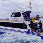 starfish-fast-cruise-6