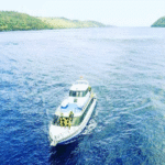 starfish-fast-cruise-3